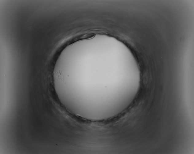 X0000086801496200705041558