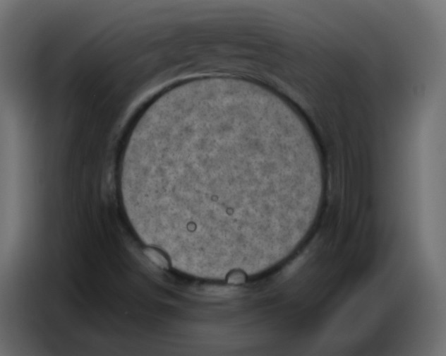 X0000086801498200705041558