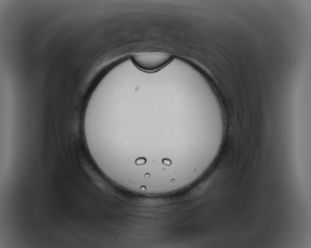 X0000086801499200705041558