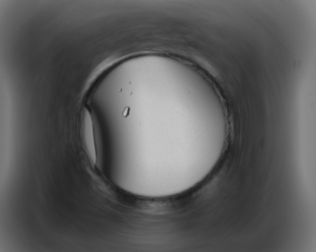 X0000086801501200705041558