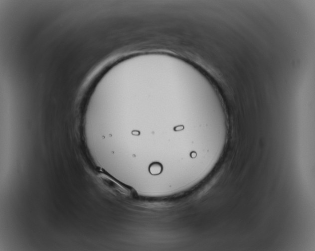 X0000086801502200705041558