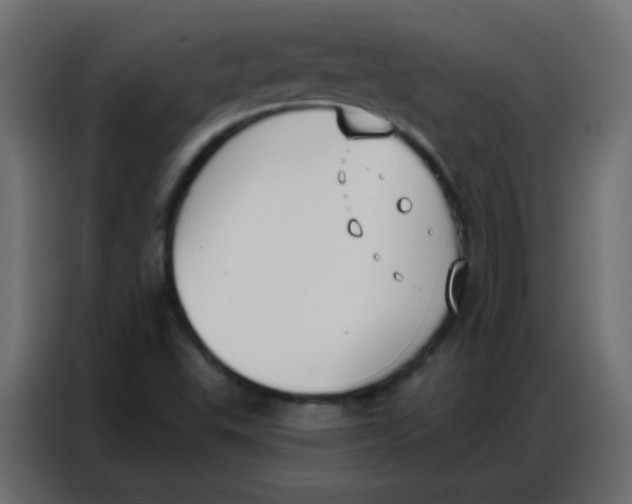 X0000086801503200705041558