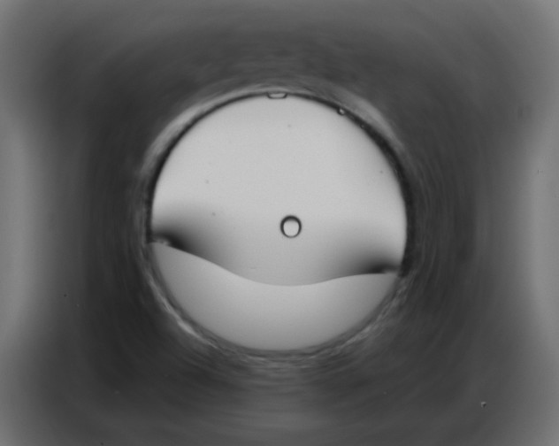 X0000086801504200705041558