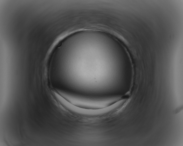 X0000086801506200705041558