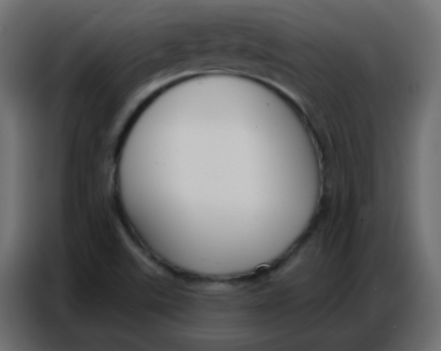 X0000086801507200705041558