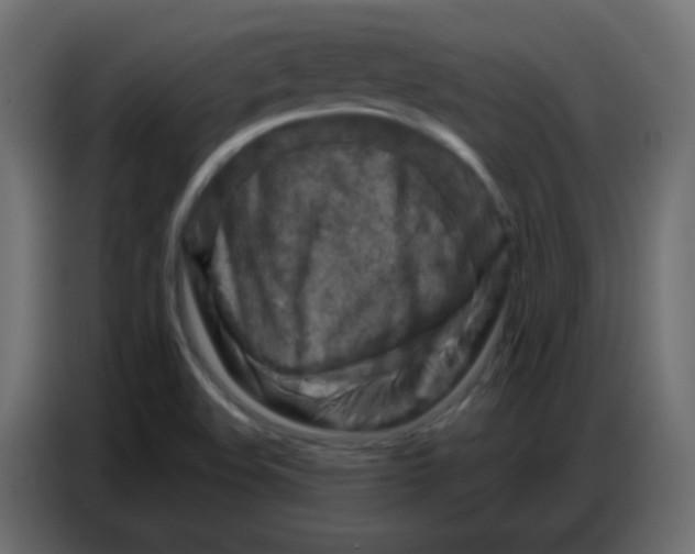 X0000086801508200705041558