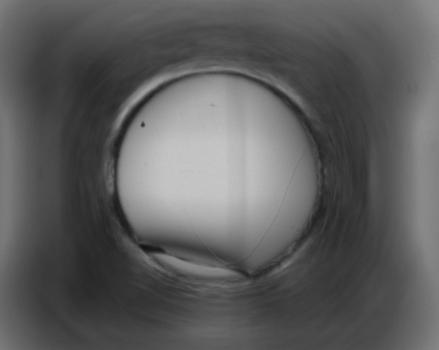 X0000086801510200705041558