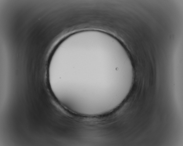 X0000086801511200705041558