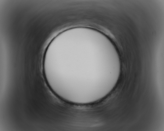 X0000086801512200705041558