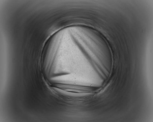 X0000086801513200705041558