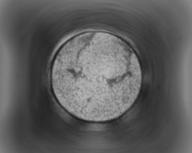 X0000086801514200705041558