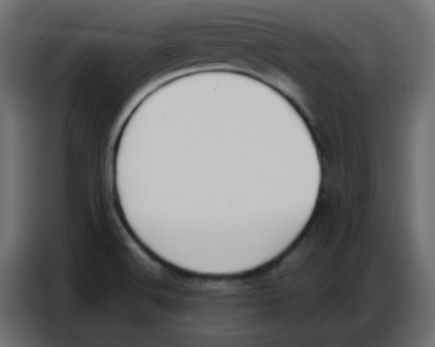 X0000086801516200705041558