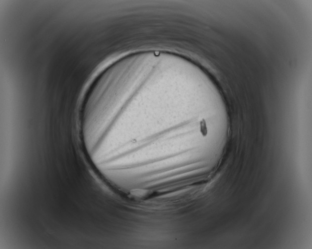 X0000086801517200705041558