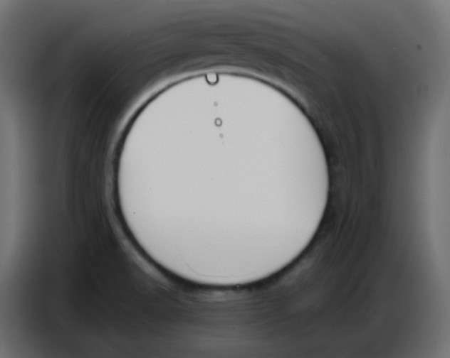 X0000086801518200705041558