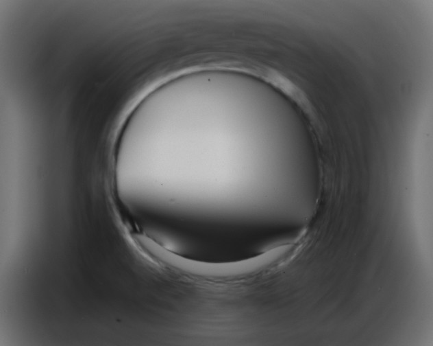 X0000086801520200705041558