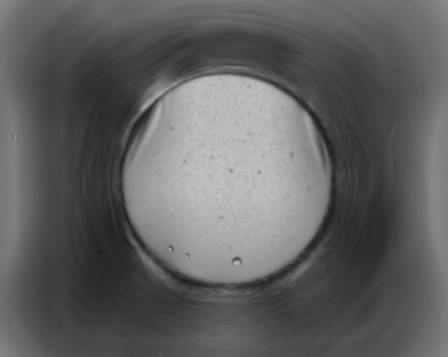 X0000086801521200705041558