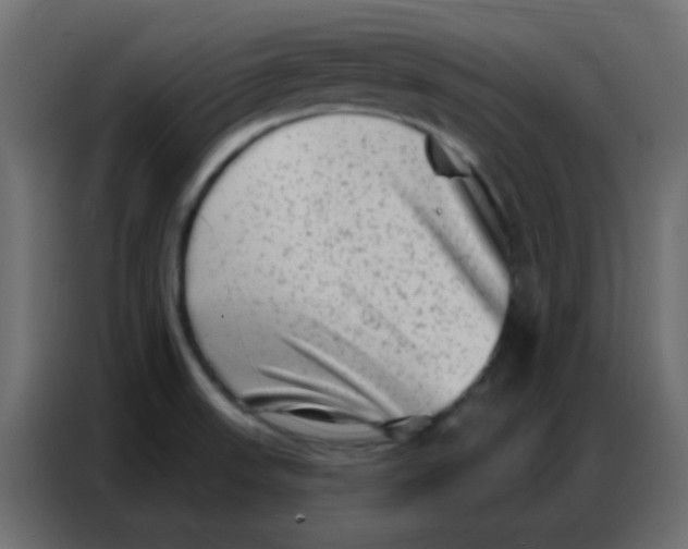 X0000086801523200705041558