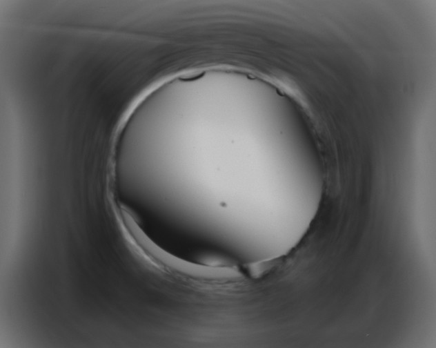 X0000086801524200705041558