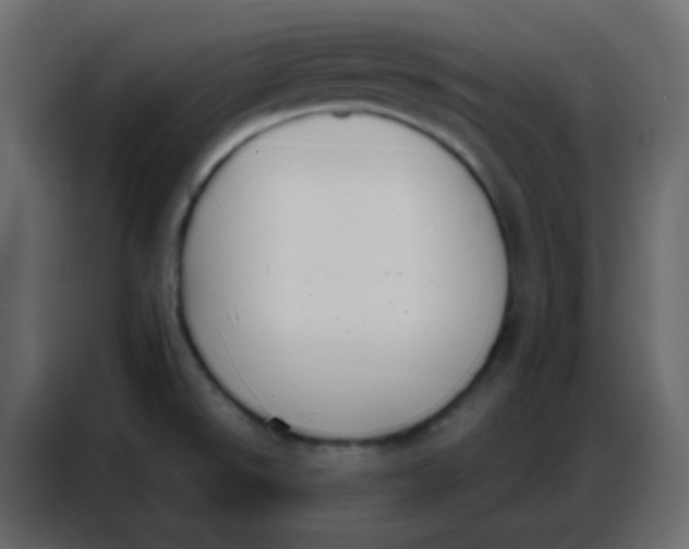 X0000086801526200705041558