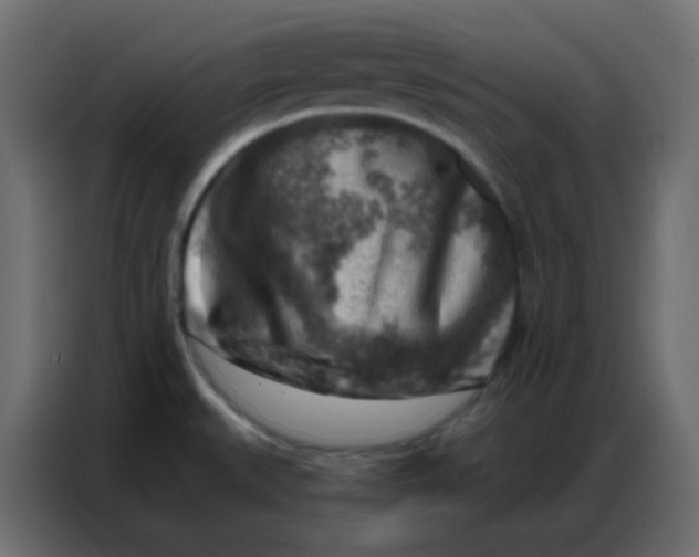 X0000086801527200705041558