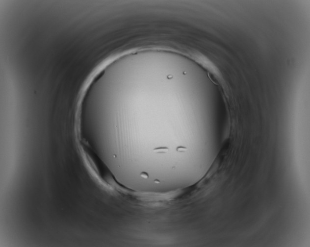 X0000086801528200705041558