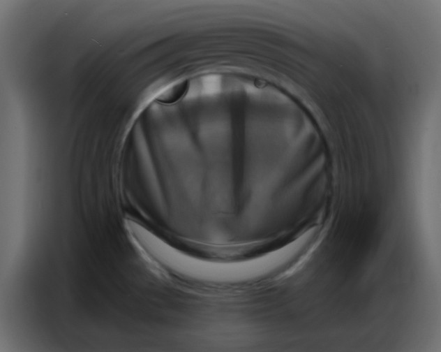 X0000086801529200705041558