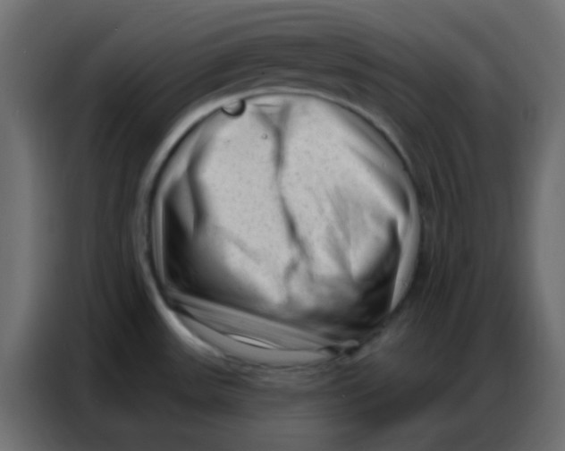 X0000086801531200705041558