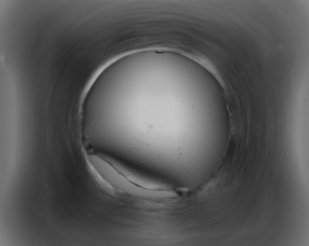 X0000086801532200705041558