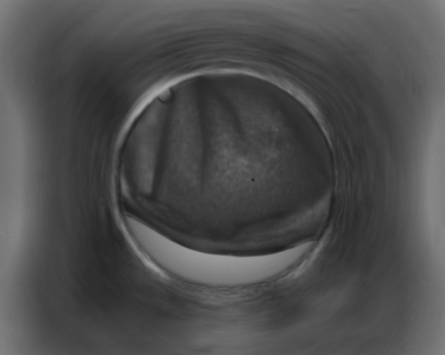 X0000086801533200705041558