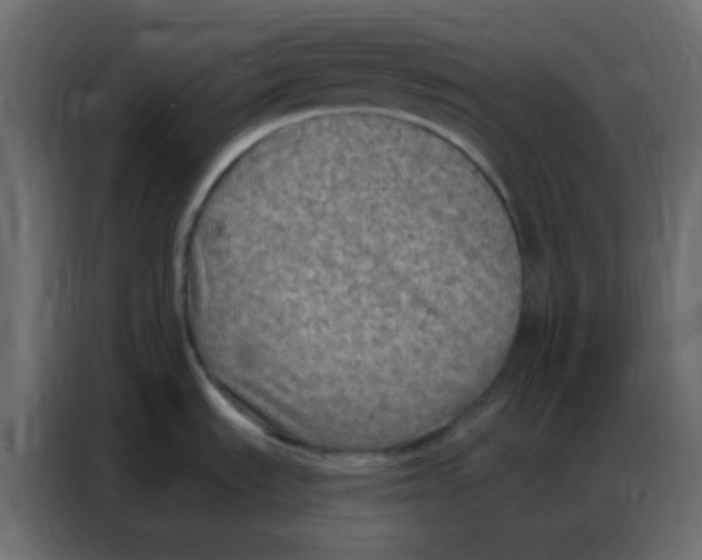 X0000086801535200705041558