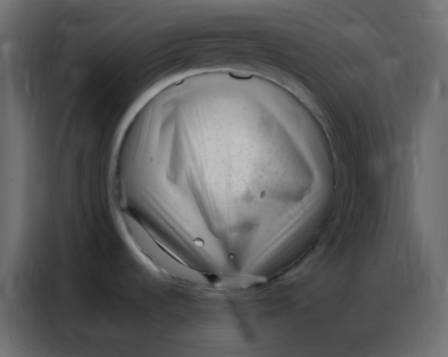 X0000086801536200705041558