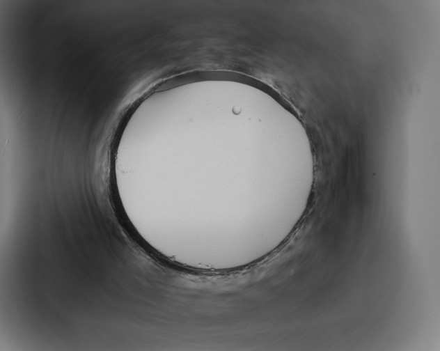 X0000086800005200705111844