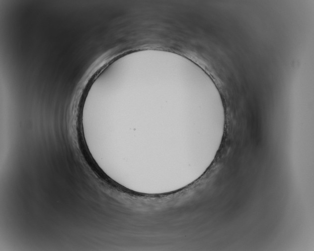 X0000086800007200705111844