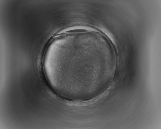X0000086800009200705111844
