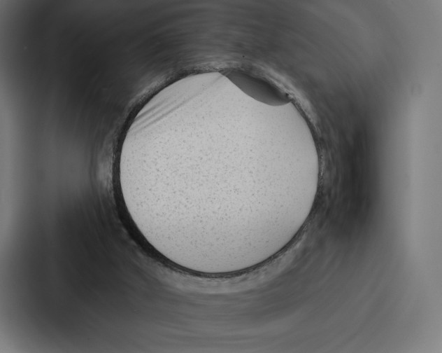 X0000086800010200705111844