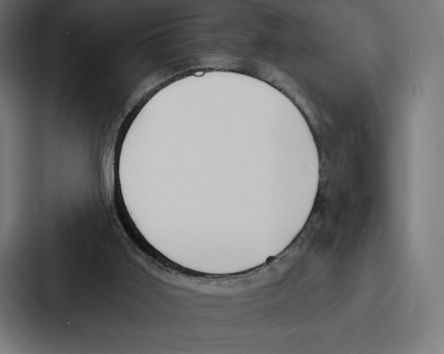 X0000086800011200705111844