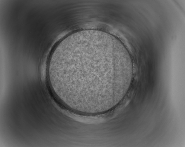 X0000086800012200705111844