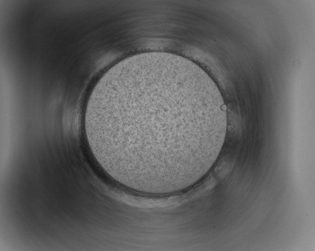 X0000086800016200705111844