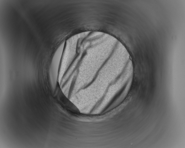 X0000086800017200705111844