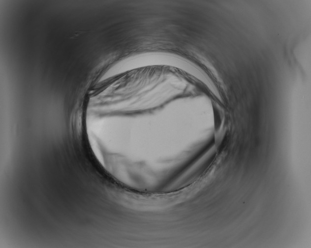 X0000086800019200705111844