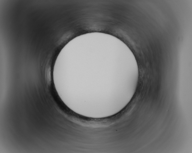 X0000086800020200705111844