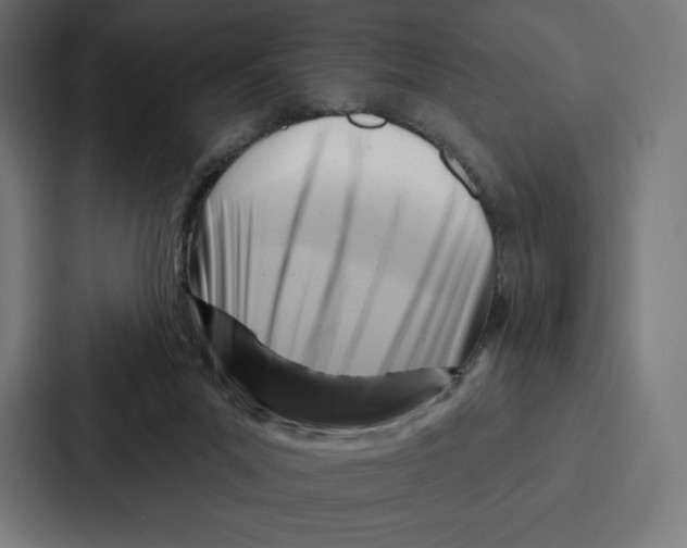 X0000086800023200705111844