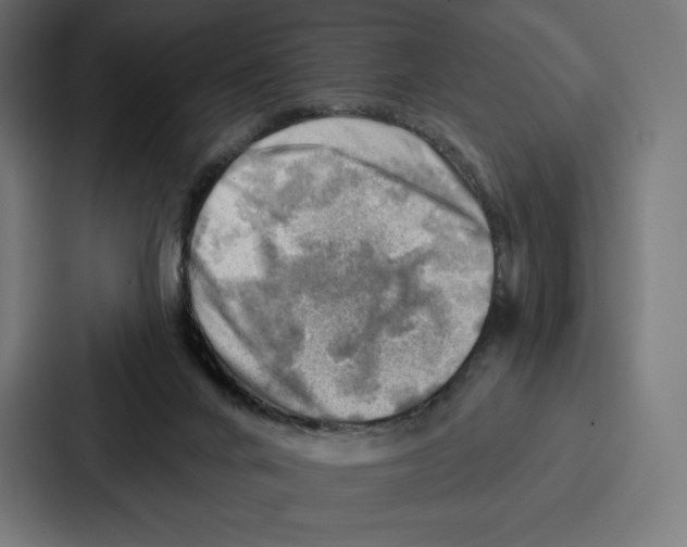 X0000086800024200705111844