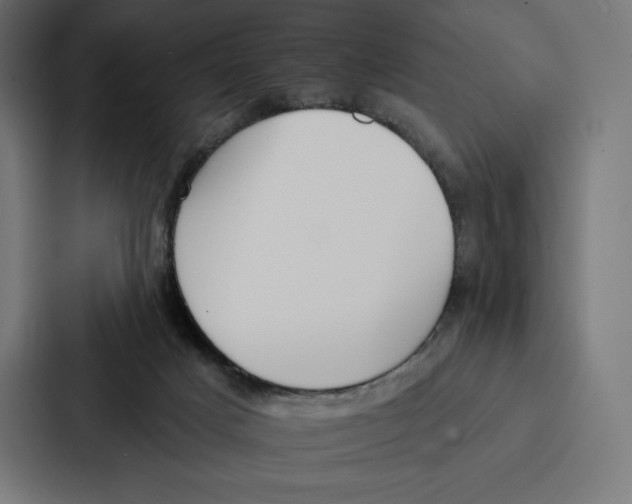 X0000086800025200705111844