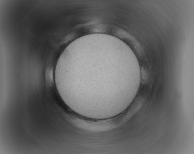 X0000086800028200705111844