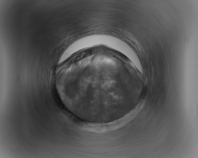 X0000086800029200705111844
