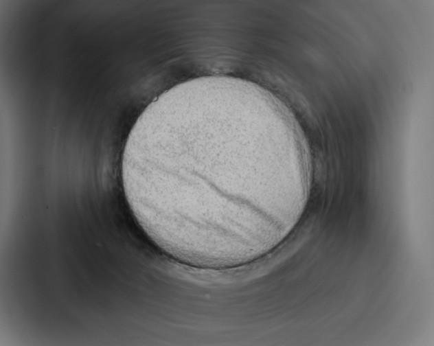 X0000086800030200705111844