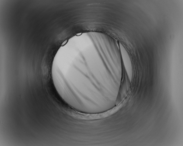 X0000086800031200705111844