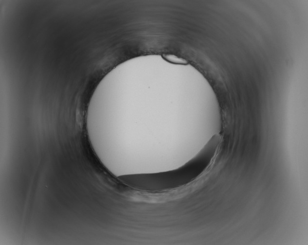X0000086800033200705111844