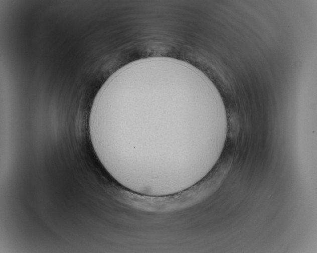 X0000086800034200705111844